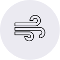 Bidi