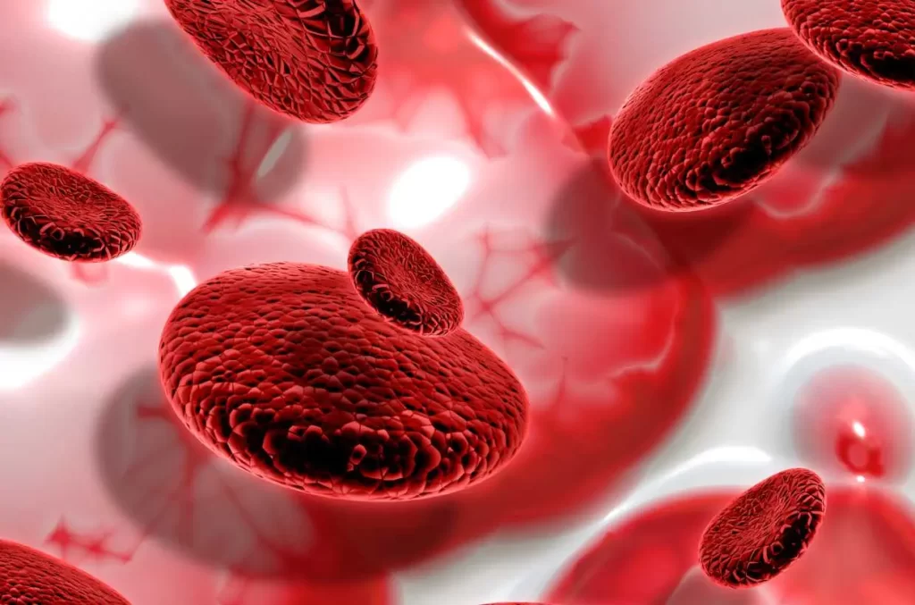 Best Leukemia Treatment in Chennai - Leukemia Cancer Overview