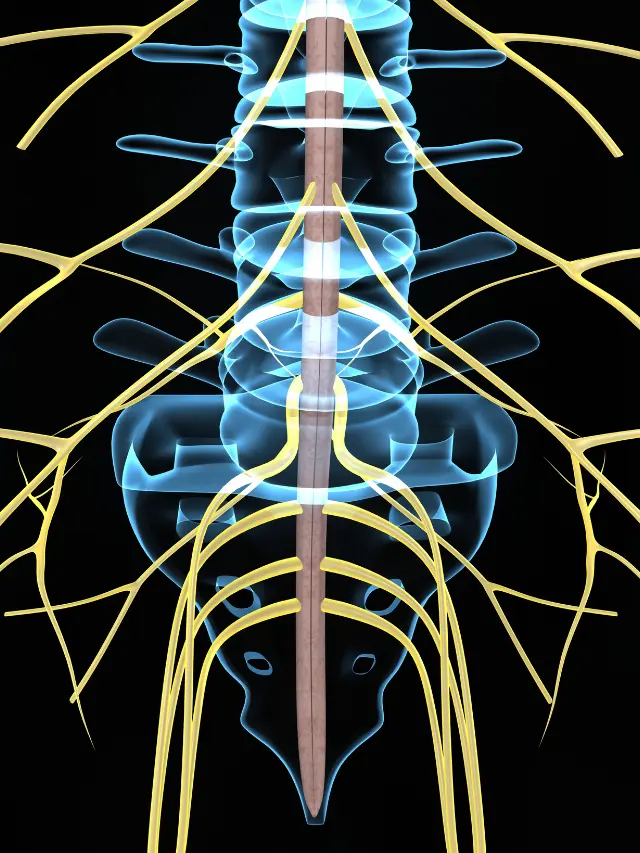 Diabetic Neuropathy