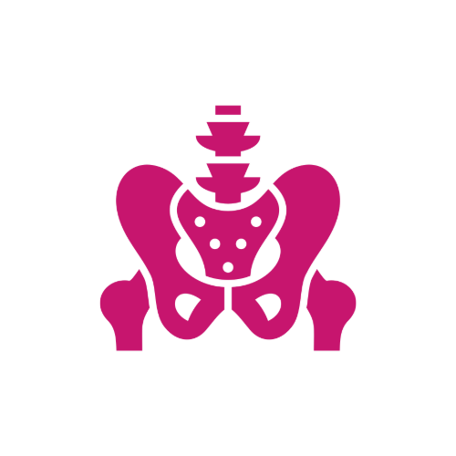 Total Hip Replacement