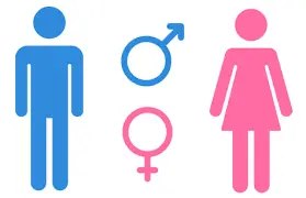 Gender