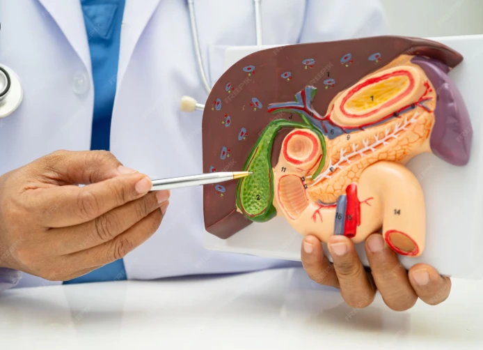 Tumors of the GI Tract