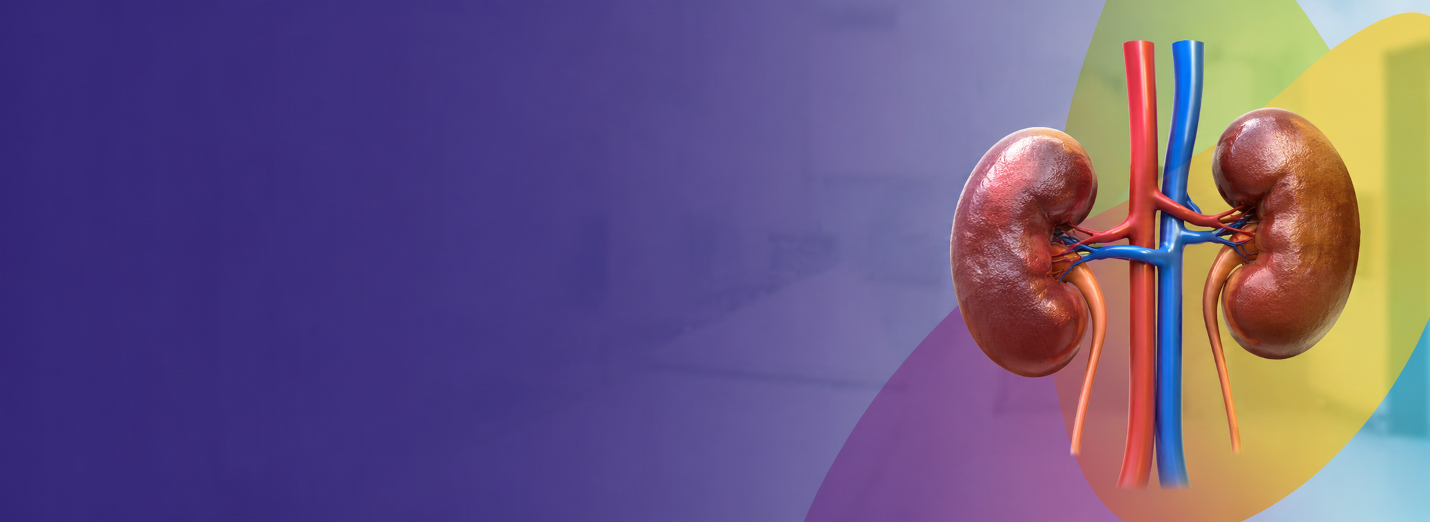 Nephrology treatment in chennai